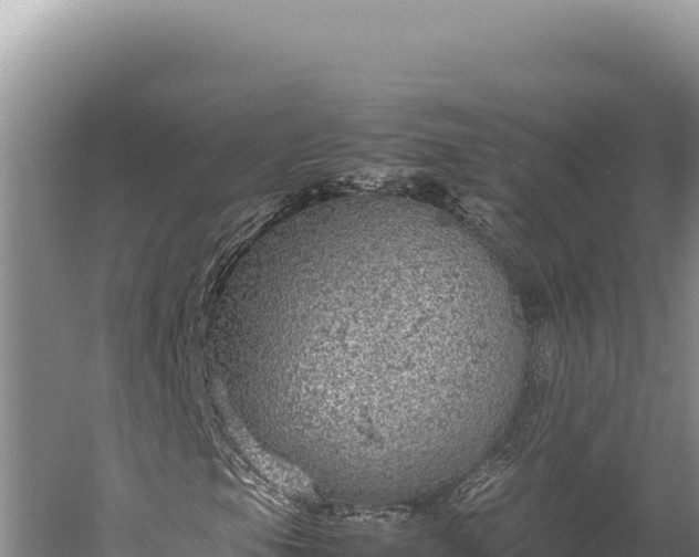 X0000059801105200510281631