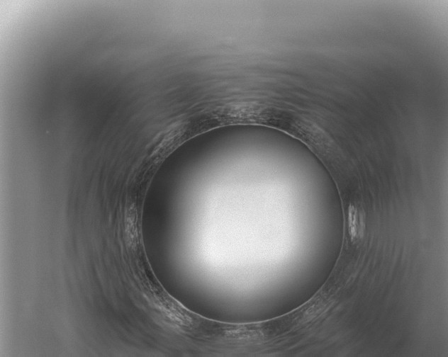 X0000059801107200510281631