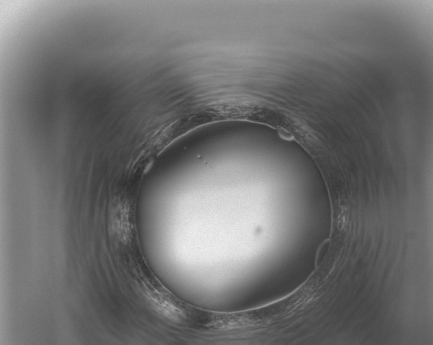 X0000059801108200510281631