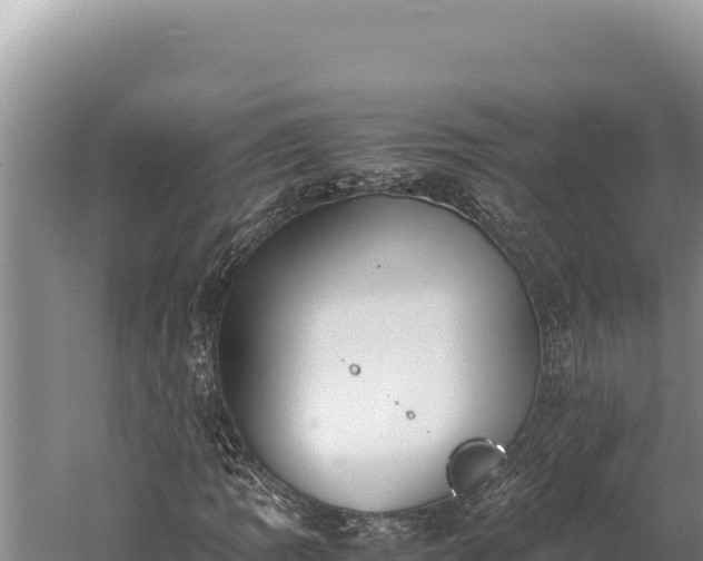 X0000059801109200510281631