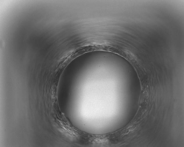 X0000059801110200510281631