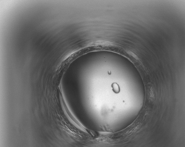 X0000059801112200510281631