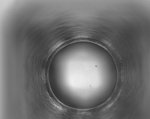 X0000059801113200510281631