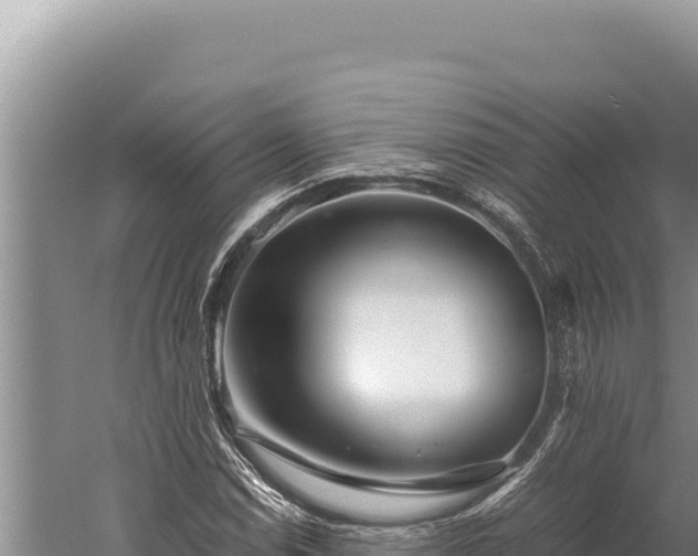 X0000059801114200510281631