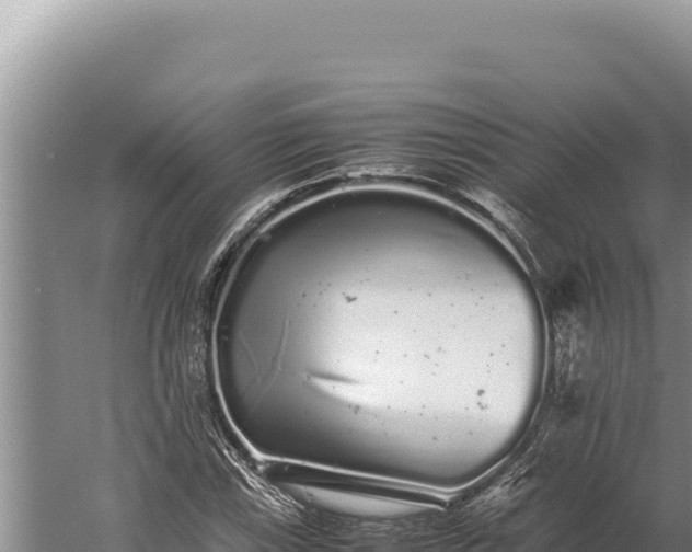 X0000059801115200510281631