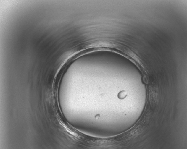 X0000059801116200510281631