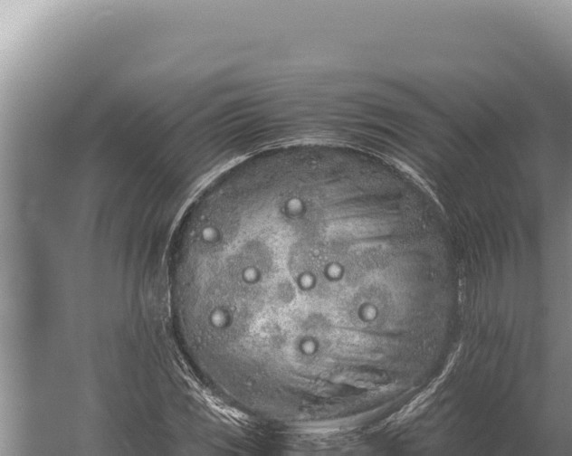 X0000059801117200510281631