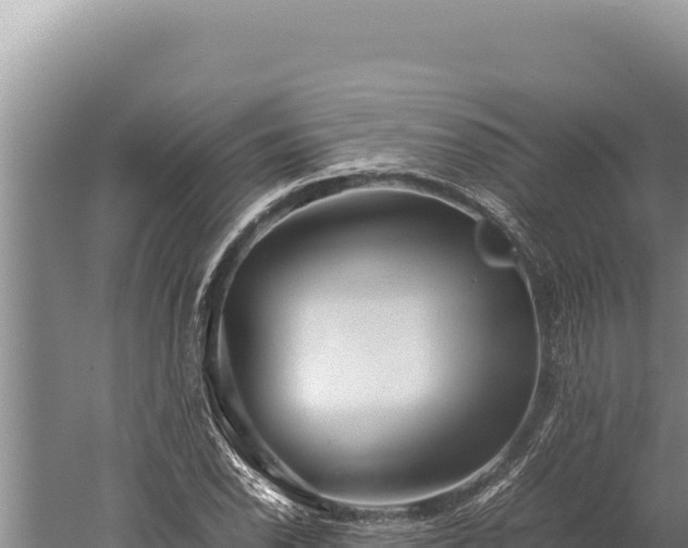 X0000059801118200510281631