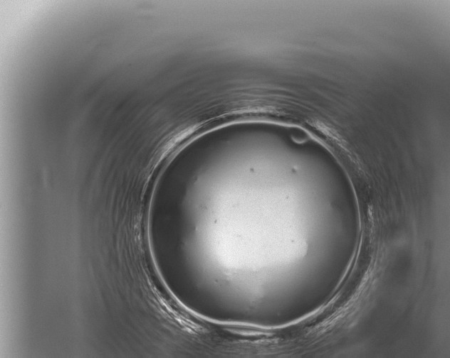 X0000059801121200510281631