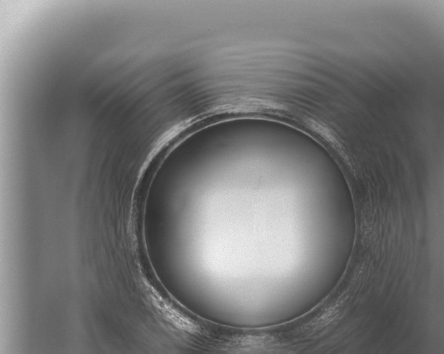 X0000059801122200510281631