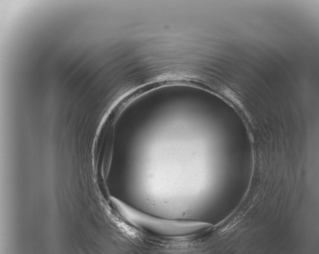 X0000059801124200510281631