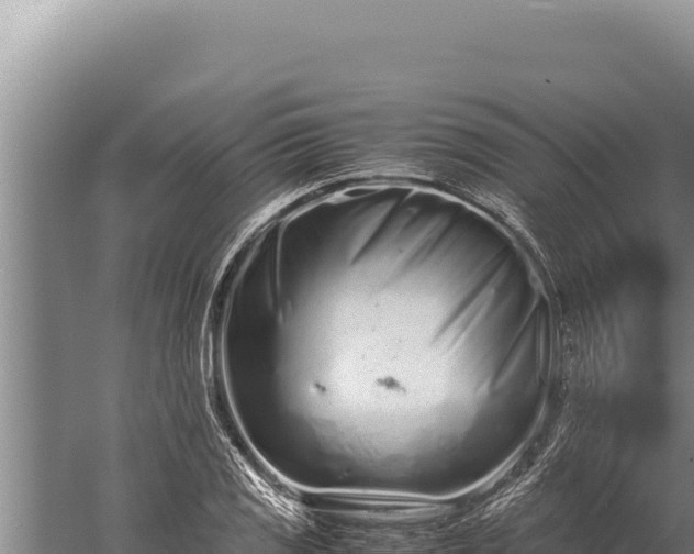 X0000059801125200510281631