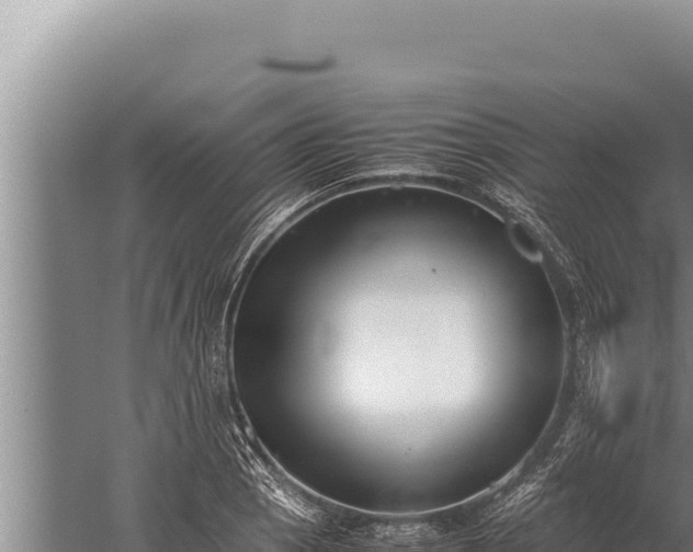 X0000059801129200510281632