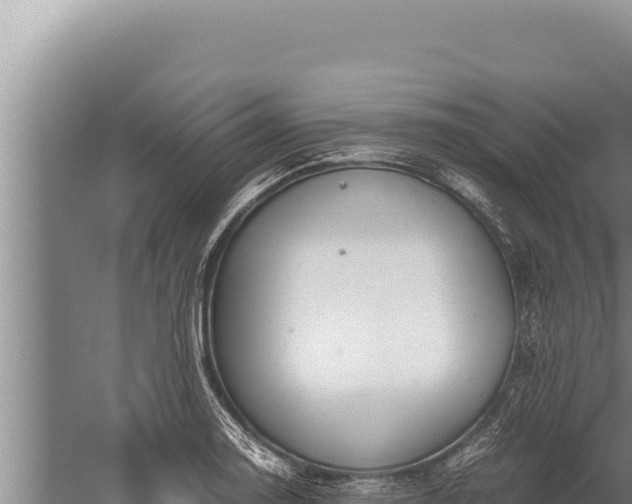 X0000059801130200510281632