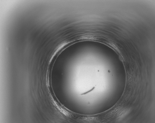 X0000059801131200510281632