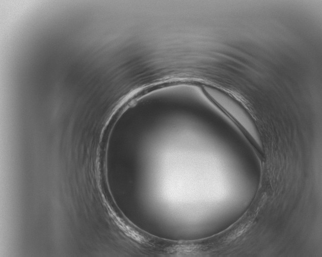 X0000059801134200510281632