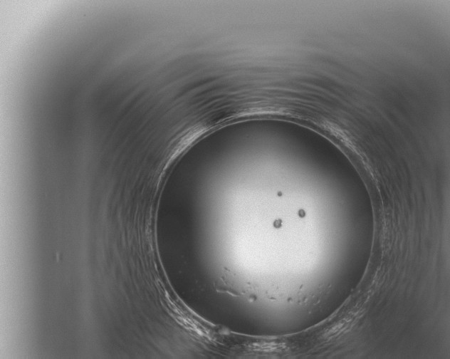 X0000059801137200510281632