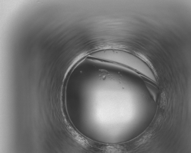 X0000059801138200510281632