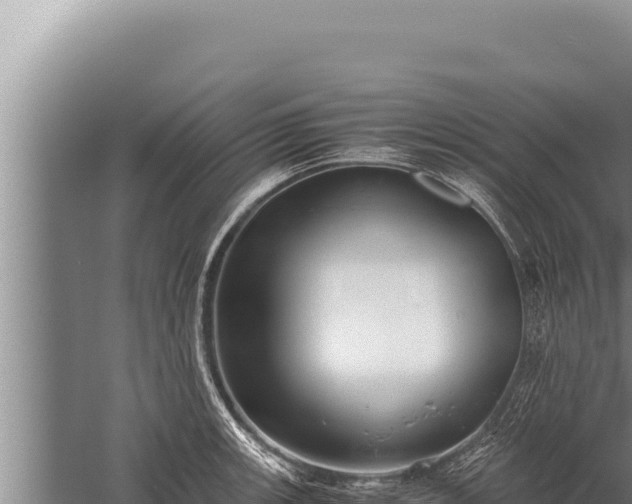 X0000059801139200510281632