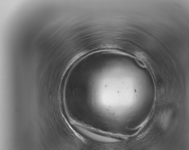 X0000059801141200510281632