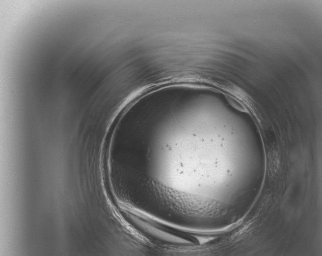 X0000059801142200510281632