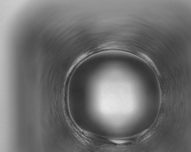 X0000059801146200510281632