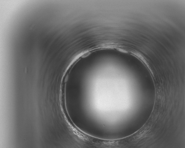 X0000059801147200510281632