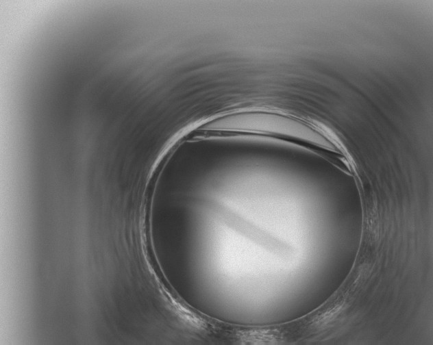 X0000059801149200510281632