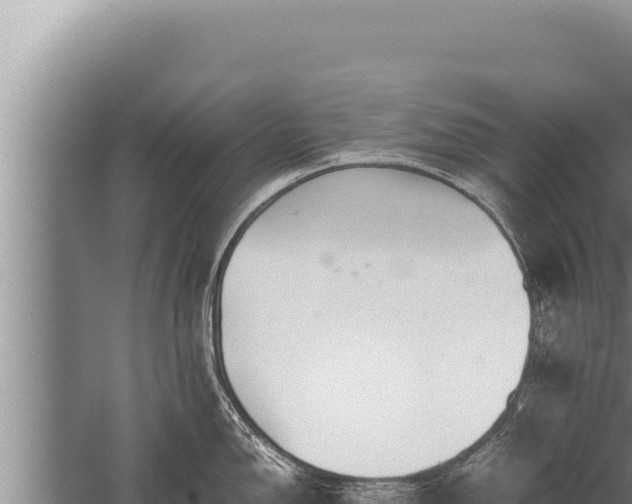 X0000059801150200510281632