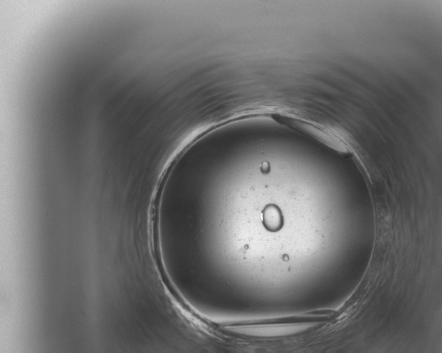 X0000059801151200510281632