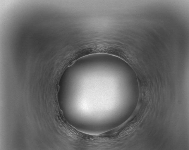 X0000059801153200510281631