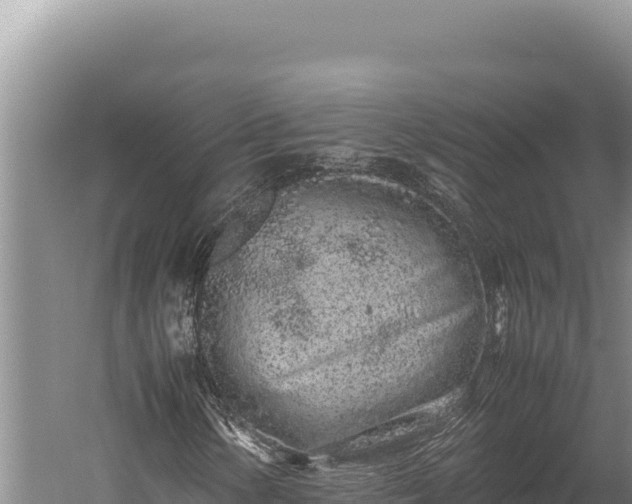 X0000059801154200510281631