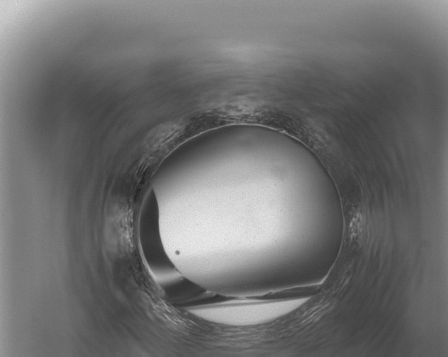 X0000059801156200510281631