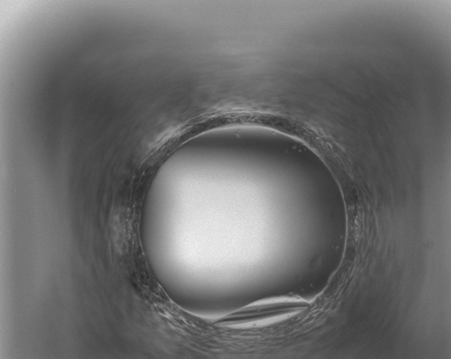 X0000059801157200510281631