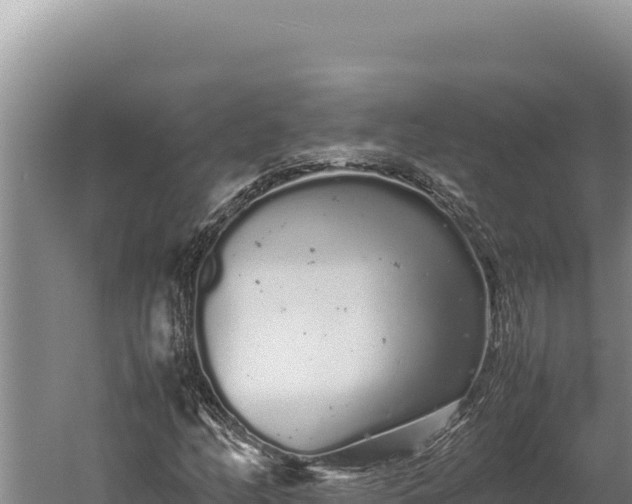 X0000059801158200510281631