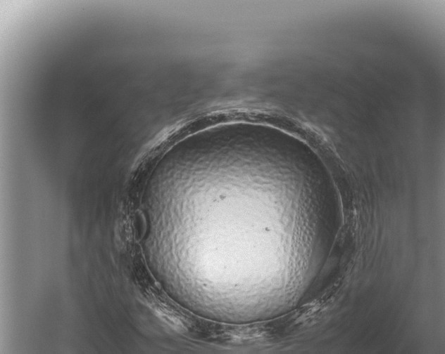 X0000059801159200510281631