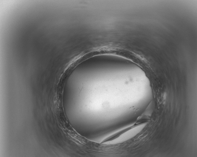 X0000059801160200510281631