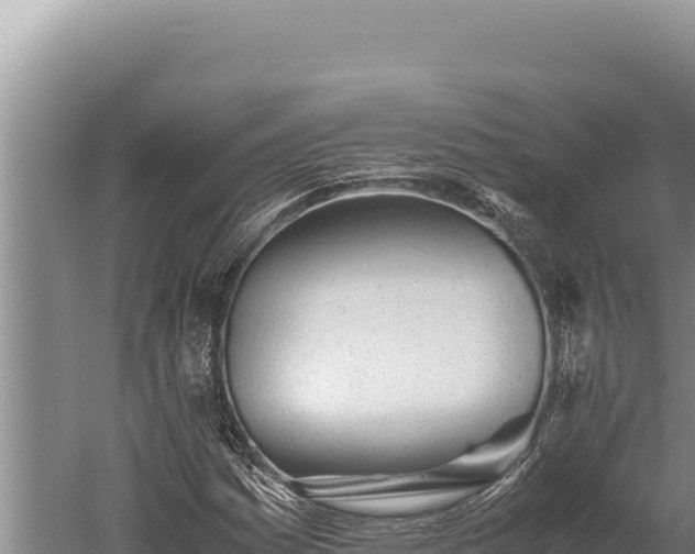 X0000059801161200510281631