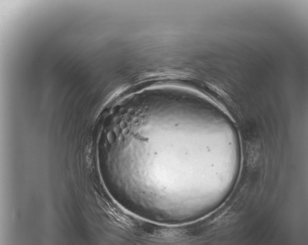 X0000059801163200510281631