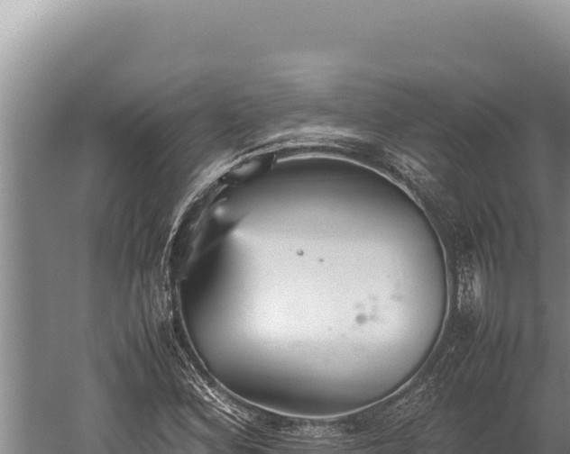 X0000059801164200510281631