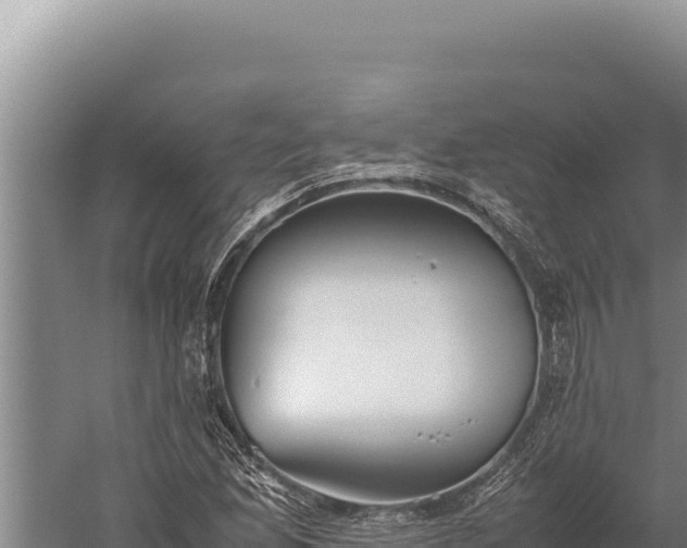 X0000059801165200510281631