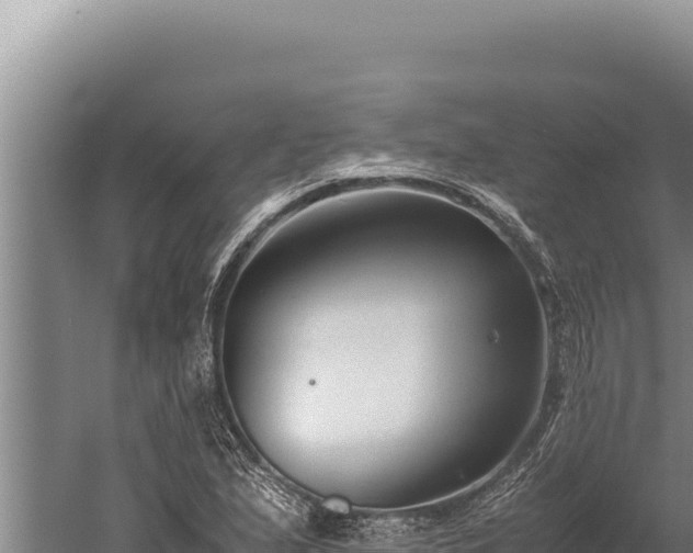 X0000059801167200510281631