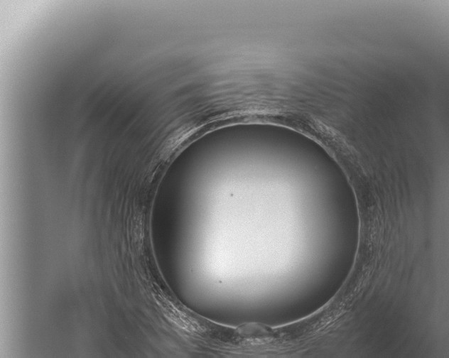 X0000059801169200510281631