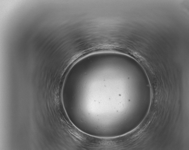 X0000059801170200510281631