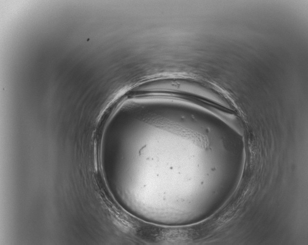 X0000059801171200510281631