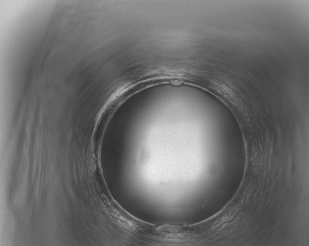 X0000059801172200510281631