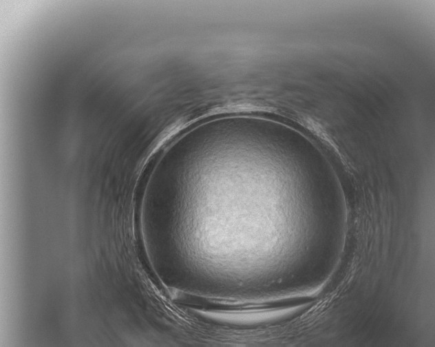 X0000059801173200510281631