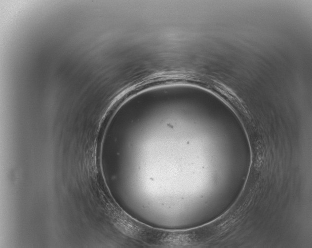 X0000059801174200510281631