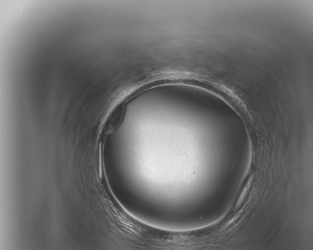 X0000059801175200510281631