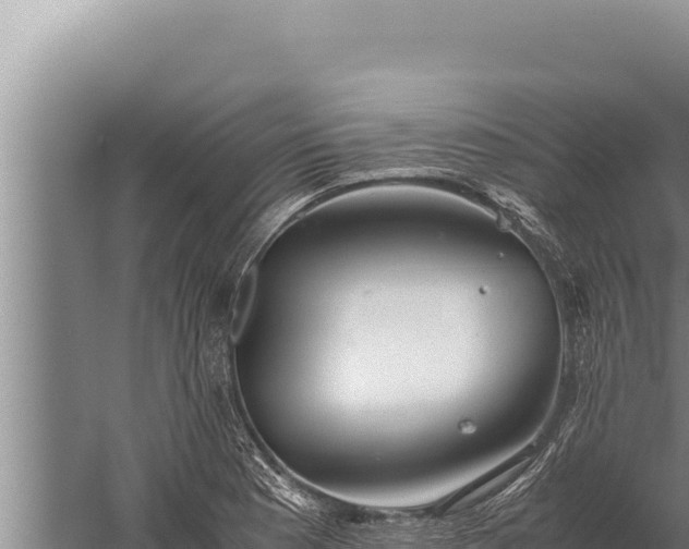 X0000059801177200510281631